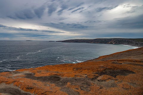 Kangaroo Island Luxury Small Group 'Flinders Chase Focus' Full Day Tour - Accommodation Mermaid Beach 0