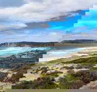 Kangaroo Island Luxury Small Group 'East End Explorer' Full Day Tour - Accommodation Mermaid Beach