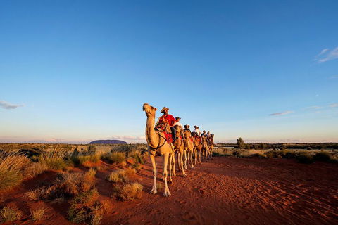 Uluru Small-Group Tour By Camel At Sunrise Or Sunset - Accommodation Mermaid Beach 3