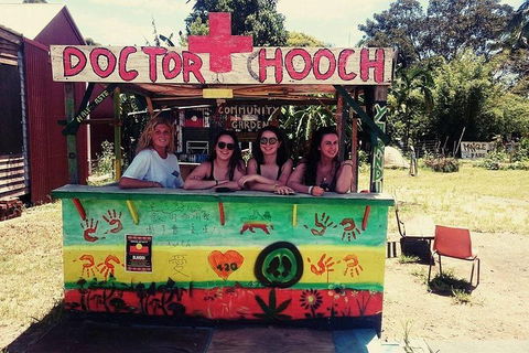 Byron Surrounds: Nimbin Waterfall Adventure - Swimming Tour - Accommodation Mermaid Beach 5