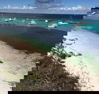 Experience Rottnest with Ferry  Bike Hire from Perth or Fremantle - Accommodation Mermaid Beach