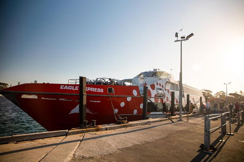 Rottnest Island Round-Trip Ferry From Perth Or Fremantle - Accommodation Mermaid Beach 2
