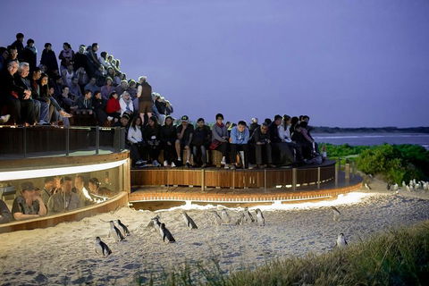 2-Day Great Ocean Road, Mornington Peninsula And Phillip Island Tour - Accommodation Mermaid Beach 0