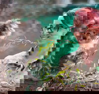 Small-Group Phillip Island Penguin Parade Day Tour from Melbourne - Accommodation Mermaid Beach