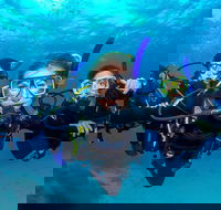 Great Barrier Reef Diving and Snorkeling Cruise from Cairns - Accommodation Mermaid Beach