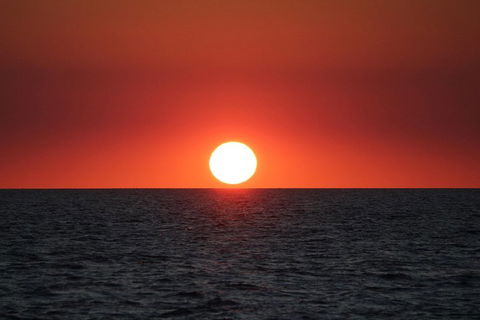 Roebuck Bay Snubfin Dolphin Cruise - Accommodation Mermaid Beach 3