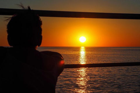 Roebuck Bay Snubfin Dolphin Cruise - Accommodation Mermaid Beach 4