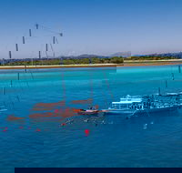 Ocean Free Green Island  Great Barrier Reef Snorkel Cruise Cairns 25 guests - Accommodation Mermaid Beach