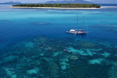 Ocean Free Green Island & Great Barrier Reef Snorkel Cruise, Cairns 25 Guests - Accommodation Mermaid Beach 2