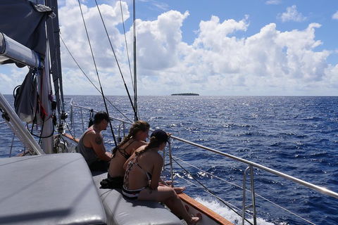 Ocean Free Green Island & Great Barrier Reef Snorkel Cruise, Cairns 25 Guests - Accommodation Mermaid Beach 4