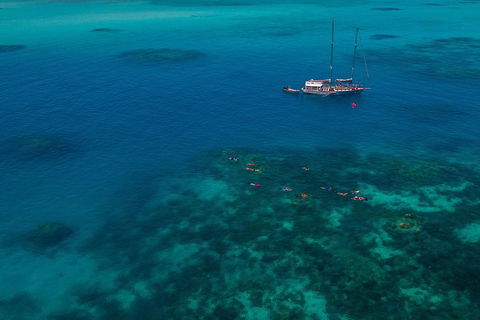 Ocean Free Green Island & Great Barrier Reef Snorkel Cruise, Cairns 25 Guests - Accommodation Mermaid Beach 5