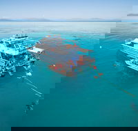 Ocean Freedom Great Barrier Reef Personal Luxury Snorkel  Dive Cruise Cairns - Accommodation Mermaid Beach