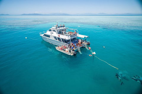 Ocean Freedom Great Barrier Reef Personal Luxury Snorkel & Dive Cruise, Cairns - Accommodation Mermaid Beach 0