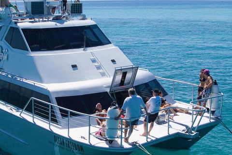 Ocean Freedom Great Barrier Reef Personal Luxury Snorkel & Dive Cruise, Cairns - Accommodation Mermaid Beach 1