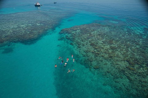 Ocean Freedom Great Barrier Reef Personal Luxury Snorkel & Dive Cruise, Cairns - Accommodation Mermaid Beach 3
