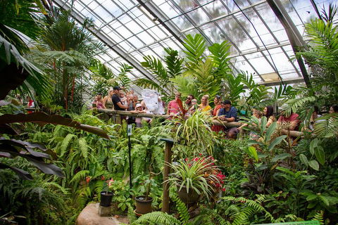 Australian Butterfly Sanctuary - Accommodation Mermaid Beach 0