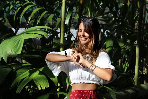 Australian Butterfly Sanctuary - Accommodation Mermaid Beach 1