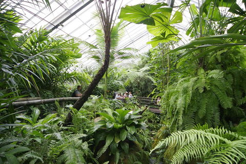 Australian Butterfly Sanctuary - Accommodation Mermaid Beach 3