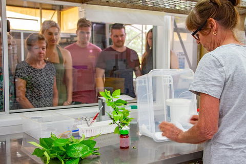 Australian Butterfly Sanctuary - Accommodation Mermaid Beach 5