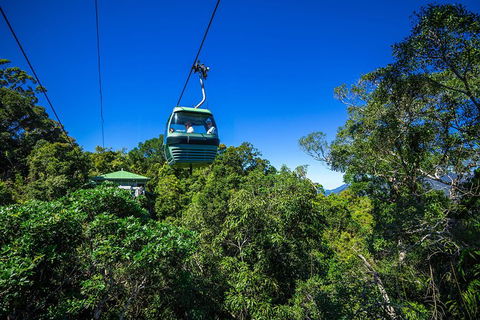 Classic Kuranda By Skyrail And Scenic Railway Including Rainforestation, Koala And Wildlife Park And Pamagirri Aboriginal Experi - Accommodation Mermaid Beach 0