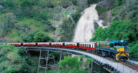 Classic Kuranda By Skyrail And Scenic Railway Including Rainforestation, Koala And Wildlife Park And Pamagirri Aboriginal Experi - Accommodation Mermaid Beach 1