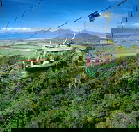 Best of Kuranda Including Skyrail Kuranda Scenic Railway and Rainforestation - Accommodation Mermaid Beach