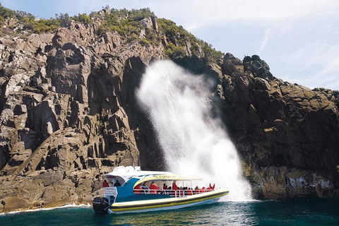Full-Day Bruny Island Cruises Day Tour From Hobart - Accommodation Mermaid Beach 4