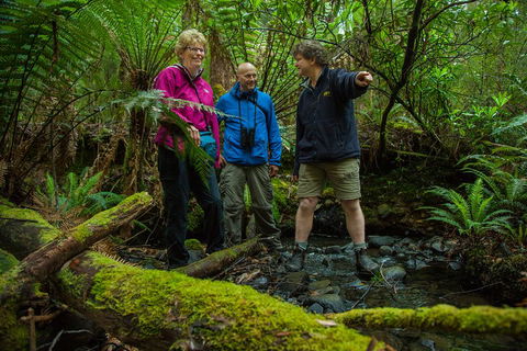 Bruny Island Traveller - Gourmet Tasting And Sightseeing Day Trip From Hobart - Accommodation Mermaid Beach 1