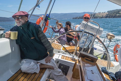 Half-Day Sailing On The Derwent River From Hobart - Accommodation Mermaid Beach 2
