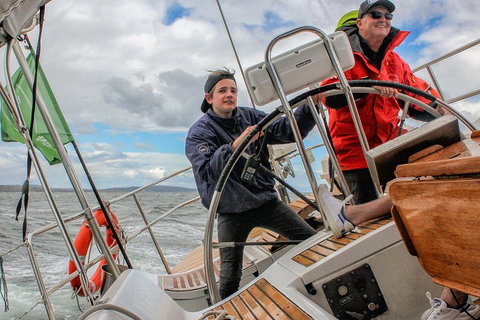 Half-Day Sailing On The Derwent River From Hobart - Accommodation Mermaid Beach 3