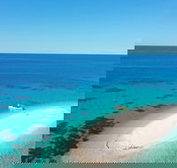 Ocean Safari Great Barrier Reef Experience in Cape Tribulation - Accommodation Mermaid Beach