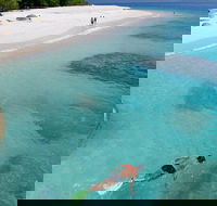 Fitzroy Island Day Trip from Cairns - Accommodation Mermaid Beach