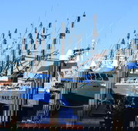 One Day Port Lincoln Tour - Tasting Eyre - Accommodation Mermaid Beach