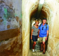 Rottnest Island Full-Day Trip With Guided Island Tour From Perth - Accommodation Mermaid Beach