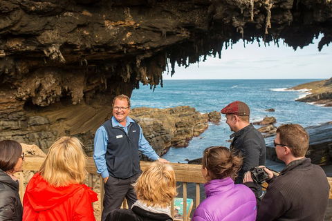 Kangaroo Island In A Day Tour From Adelaide - Accommodation Mermaid Beach 3