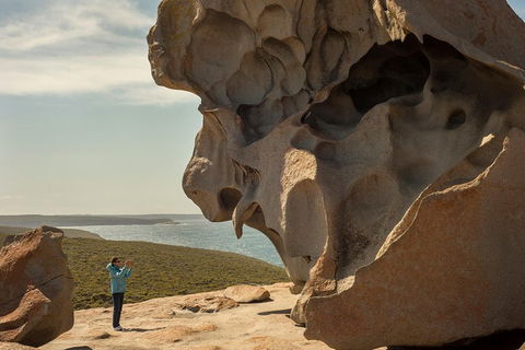 Kangaroo Island In A Day Tour From Adelaide - Accommodation Mermaid Beach 5
