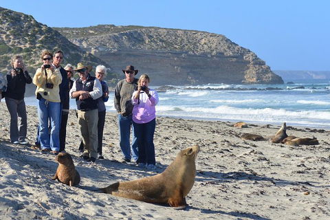 2-Day Kangaroo Island 4WD Small-Group Tour From Adelaide - Accommodation Mermaid Beach 3