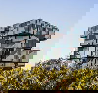 Small Group McLaren Vale and The Cube Experience - Accommodation Mermaid Beach