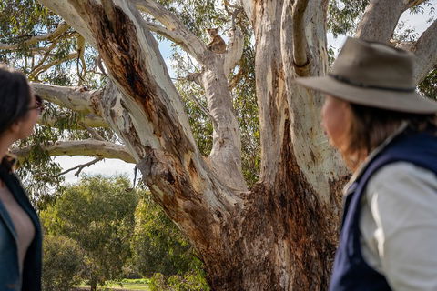 NEW TOUR - Kangaroo Island Road To Recovery Tour (1 Day/1 Night) - Accommodation Mermaid Beach 0