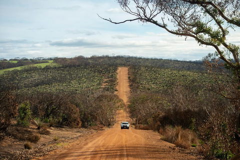 NEW TOUR - Kangaroo Island Road To Recovery Tour (1 Day/1 Night) - Accommodation Mermaid Beach 2