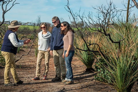 NEW TOUR - Kangaroo Island Road To Recovery Tour (1 Day/1 Night) - Accommodation Mermaid Beach 4