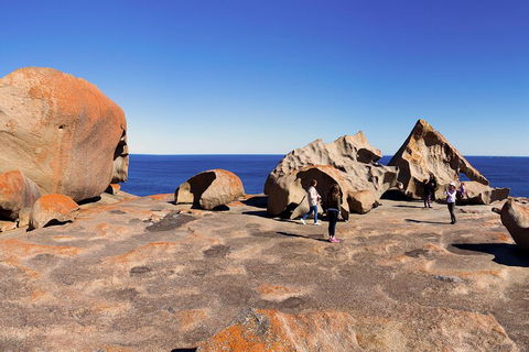 Full-Day Kangaroo Island Experience Departing From Kangaroo Island - Accommodation Mermaid Beach 4