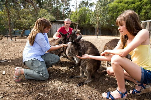 Full-Day Kangaroo Island Experience Departing From Kangaroo Island - Accommodation Mermaid Beach 5