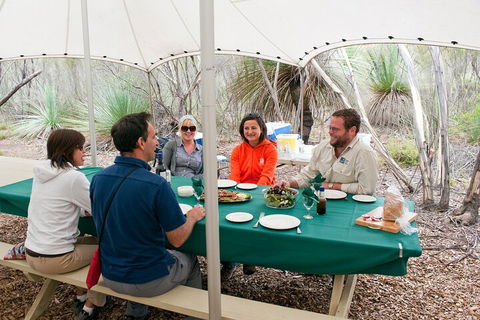 Full Day Seal Bay Experience Departing From Kangaroo Island - Accommodation Mermaid Beach 1