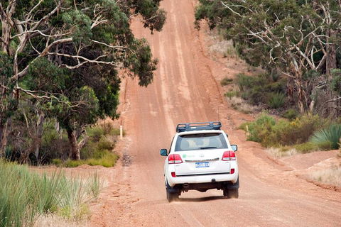Full Day Seal Bay Experience Departing From Kangaroo Island - Accommodation Mermaid Beach 2