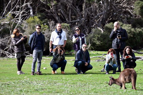 Small-Group Kangaroo Island 4WD Tour From Adelaide - Accommodation Mermaid Beach 2