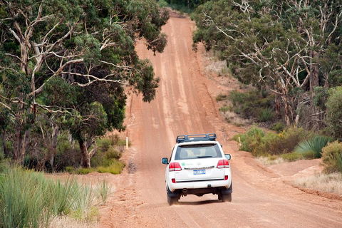 Small-Group Kangaroo Island 4WD Tour From Adelaide - Accommodation Mermaid Beach 3