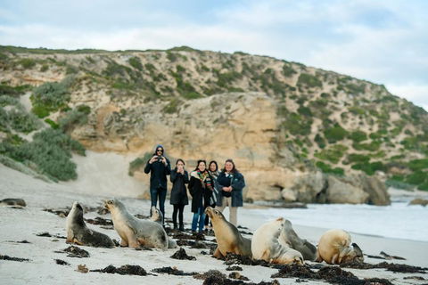 Small-Group Kangaroo Island 4WD Tour From Adelaide - Accommodation Mermaid Beach 4
