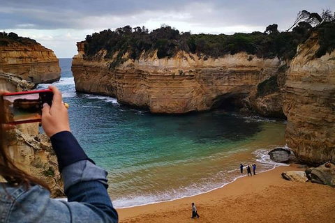 Small-Group Great Ocean Road Day Trip From Melbourne - Accommodation Mermaid Beach 1