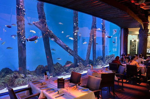 Cairns Aquarium And Small Group City Sightseeing Tour - Accommodation Mermaid Beach 4